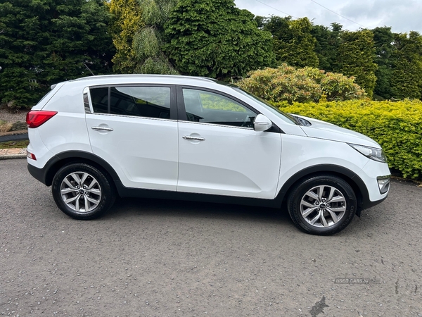 Kia Sportage DIESEL ESTATE in Antrim