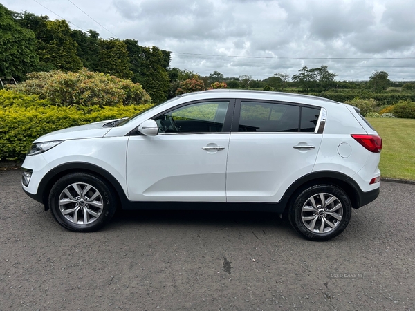 Kia Sportage DIESEL ESTATE in Antrim