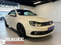 Volkswagen Eos TDI BlueMotion Tech Sport in Down