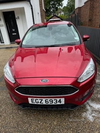 Ford Focus 1.5 TDCi 95 Style 5dr in Antrim