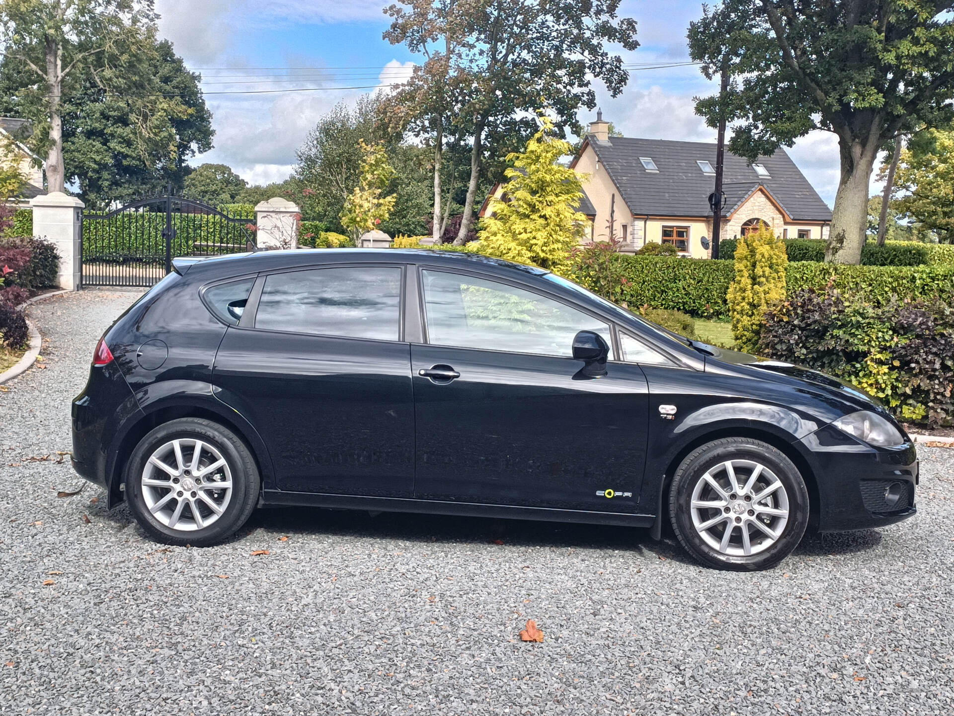 Seat Leon HATCHBACK in Tyrone