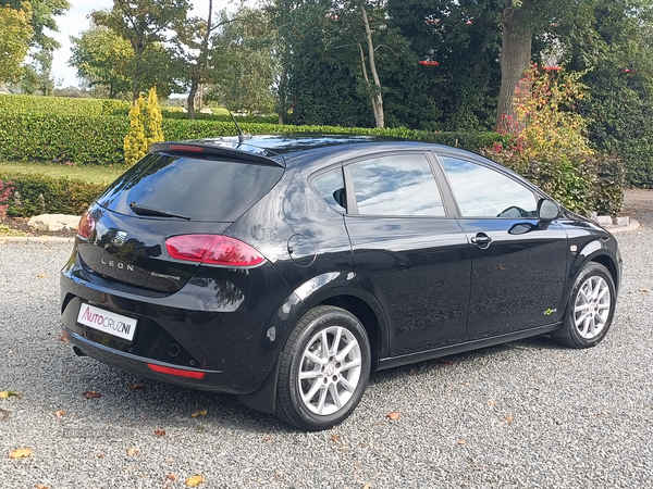 Seat Leon HATCHBACK in Tyrone