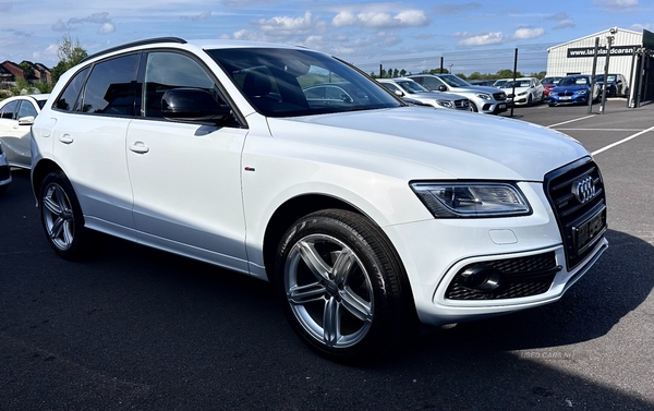 Audi Q5 ESTATE SPECIAL EDITIONS in Fermanagh