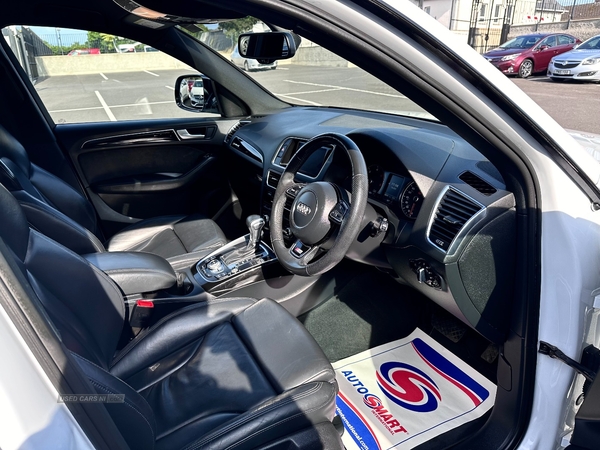 Audi Q5 ESTATE SPECIAL EDITIONS in Fermanagh