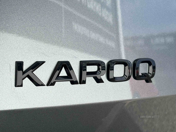Skoda Karoq 2.0 TDI [150] Sportline 4x4 5dr DSG in Down