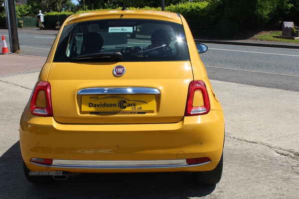 Fiat 500 HATCHBACK in Tyrone