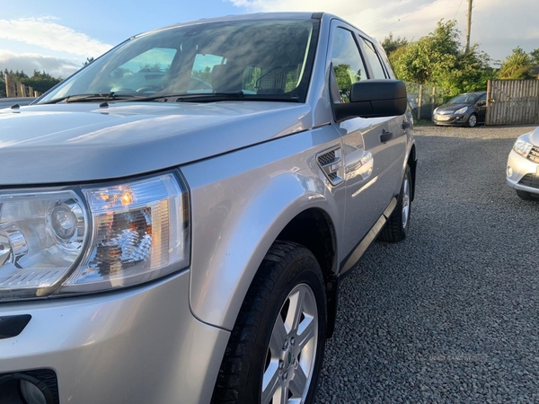 Land Rover Freelander DIESEL SW in Antrim