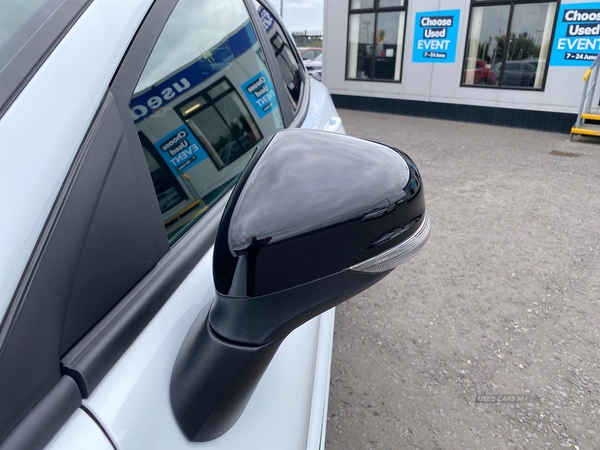Ford Puma 1.5 Ecoboost St 5Dr in Down