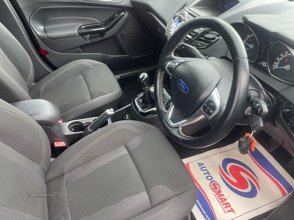 Ford Fiesta 1.0 EcoBoost Titanium 5dr in Tyrone