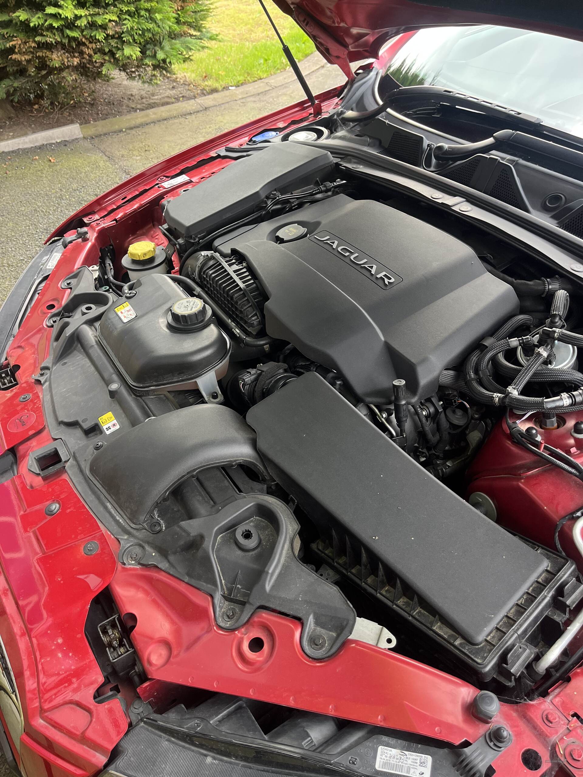 Jaguar XF DIESEL SALOON in Tyrone