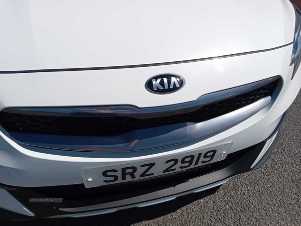 Kia XCeed 3 in Tyrone