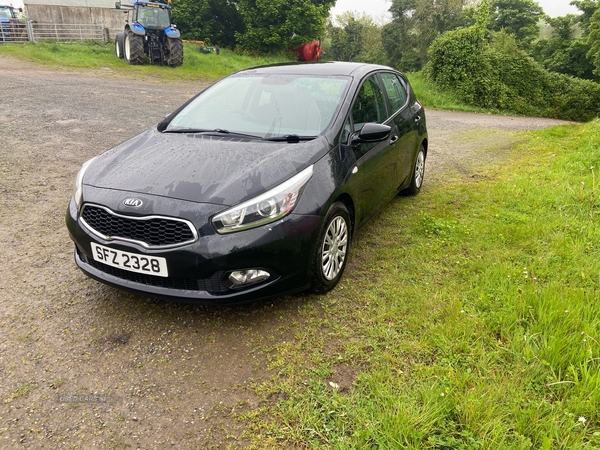 Kia Ceed 1.6 CRDi 1 EcoDynamics 5dr in Down