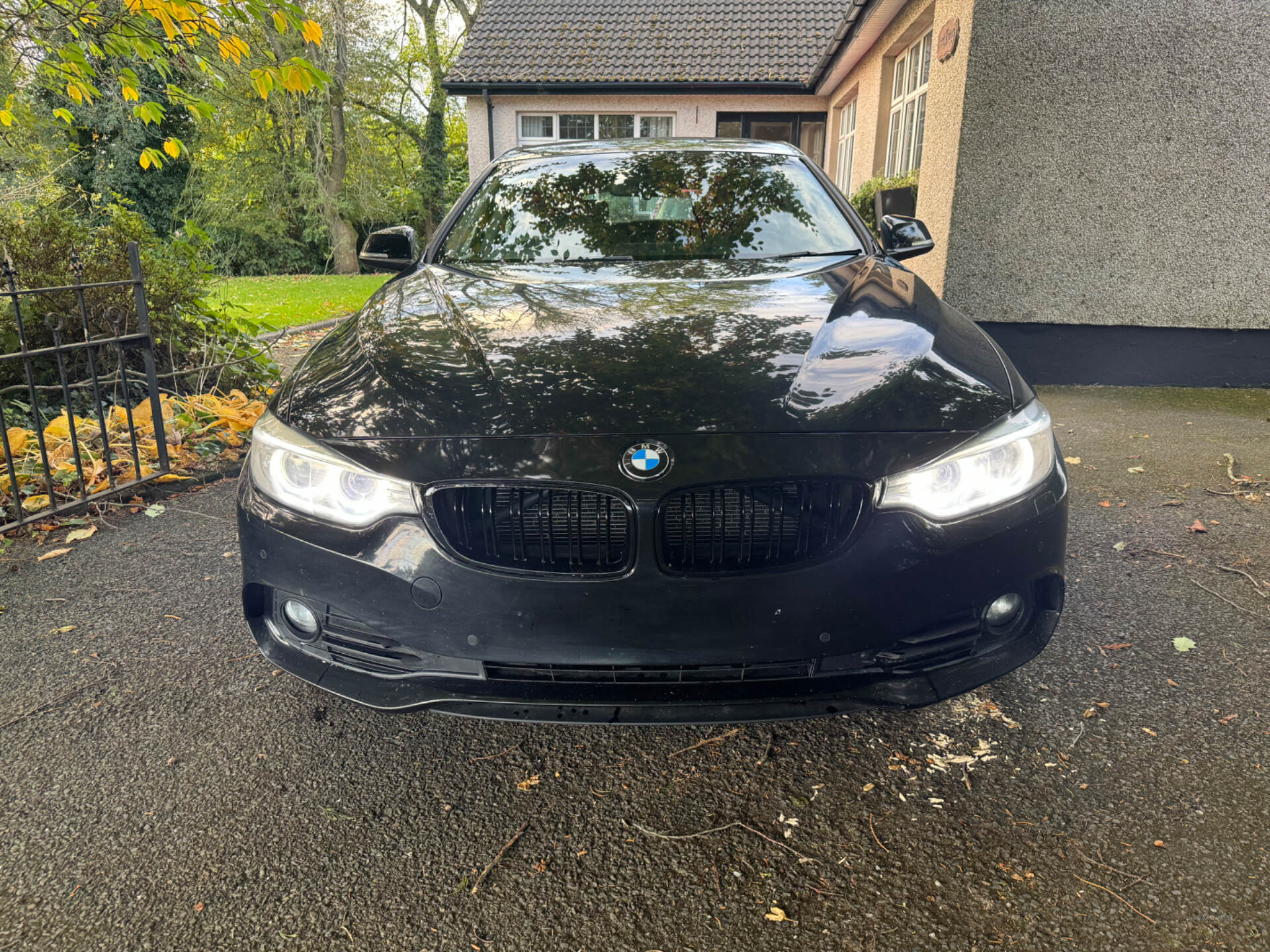 Jul 2016 BMW 4 Series 420d [190] Luxury 5dr [Professional Media]