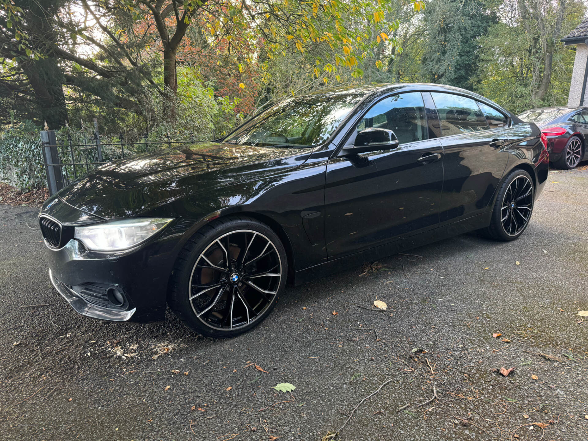 Jul 2016 BMW 4 Series 420d [190] Luxury 5dr [Professional Media]