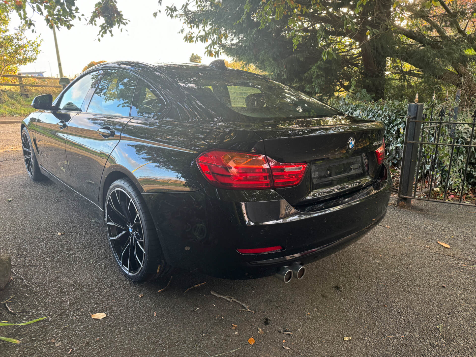 Jul 2016 BMW 4 Series 420d [190] Luxury 5dr [Professional Media]
