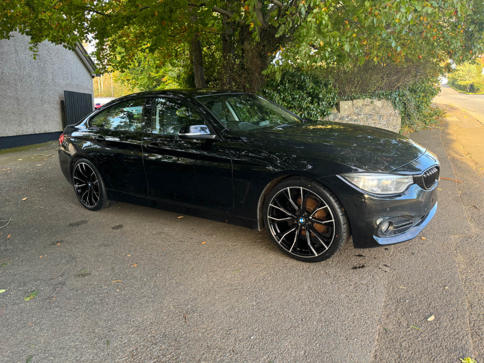 Jul 2016 BMW 4 Series 420d [190] Luxury 5dr [Professional Media]