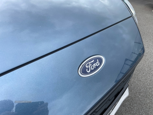 Ford Focus 1.5 EcoBlue 120 Active X 5dr in Tyrone