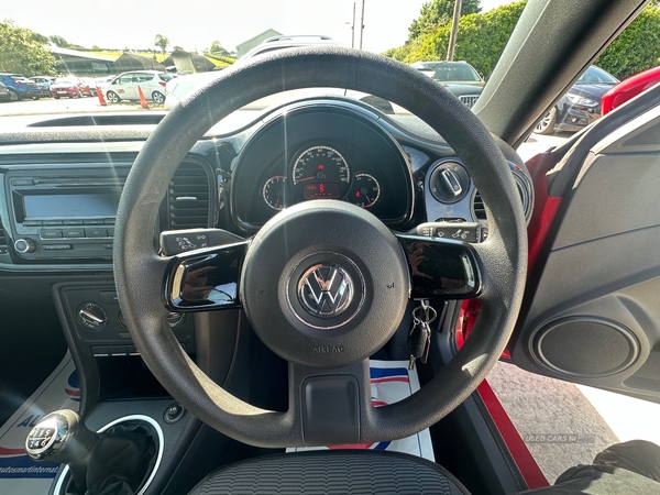 Volkswagen Beetle CABRIOLET in Down
