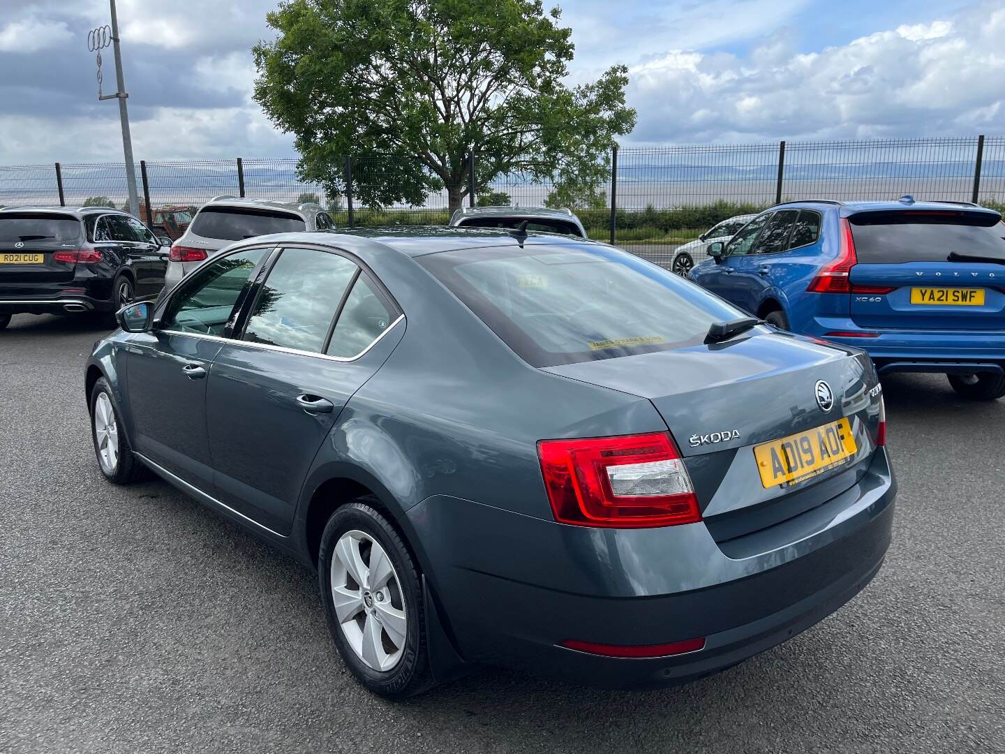 Skoda Octavia DIESEL HATCHBACK in Derry / Londonderry