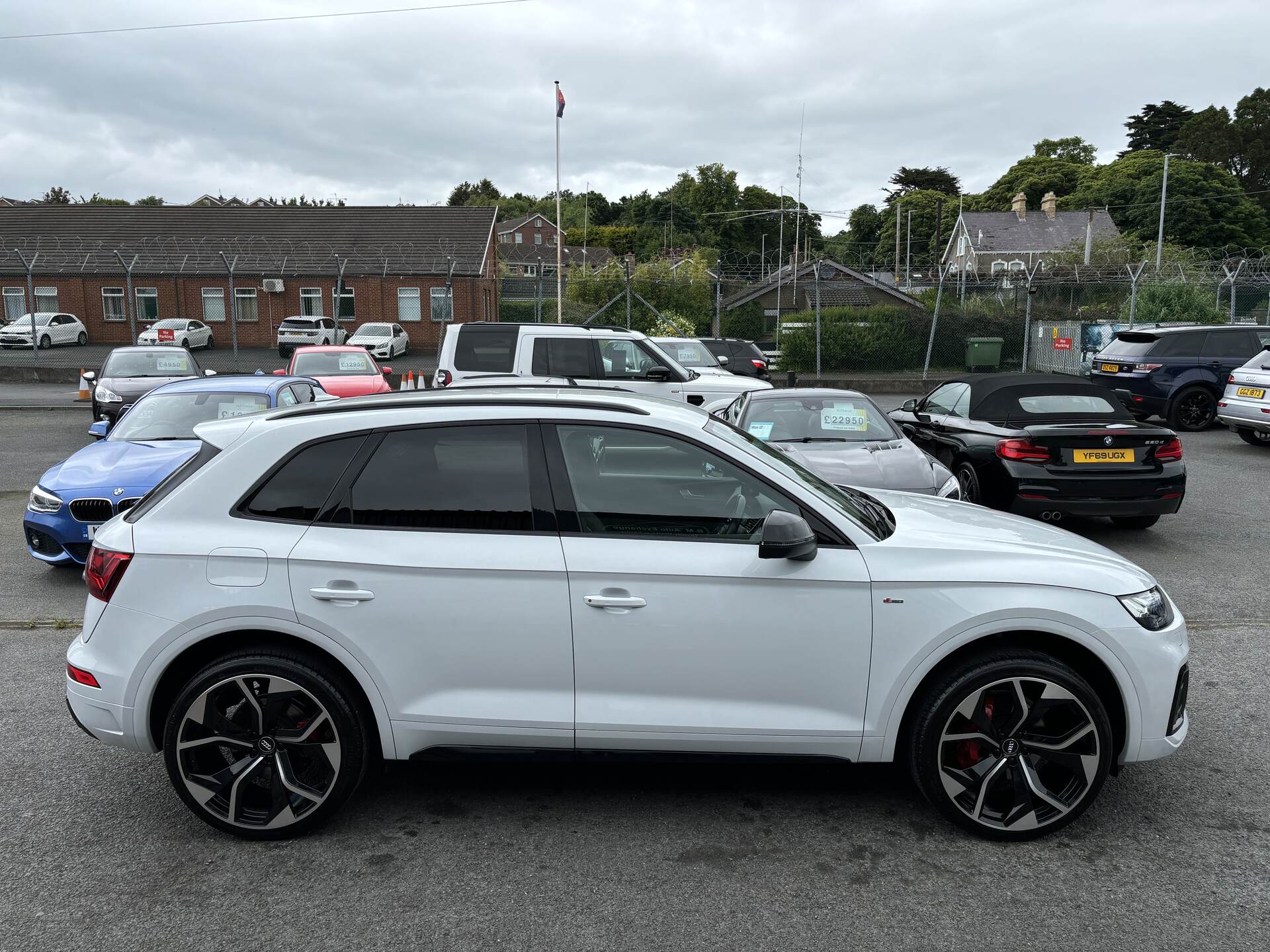 Audi Q5 ESTATE SPECIAL EDITIONS in Down