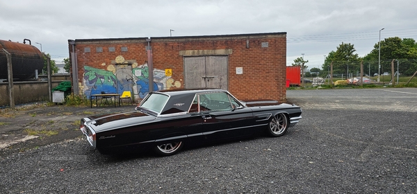 Ford 1965 thunderbird in Down