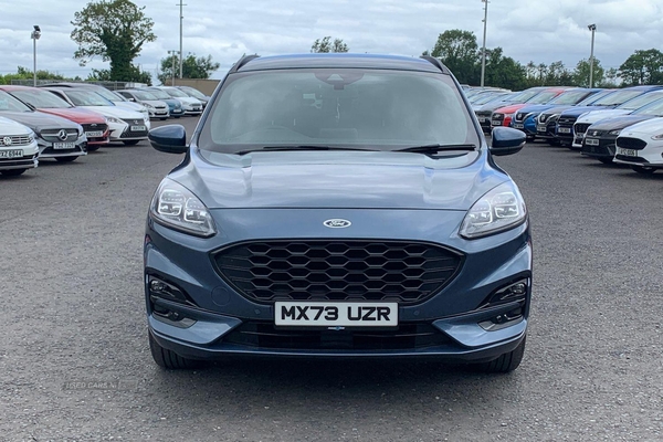 Ford Kuga ST-LINE EDITION 1.5 IN CHROME BLUE WITH ONLY 5K in Armagh