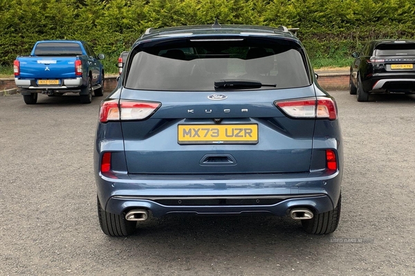 Ford Kuga ST-LINE EDITION 1.5 IN CHROME BLUE WITH ONLY 5K in Armagh