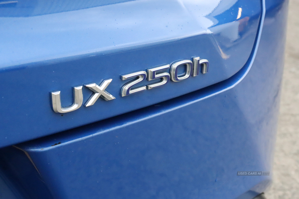 Lexus UX 250H in Antrim