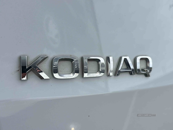 Skoda Kodiaq 2.0 TDI SE Drive 5dr DSG [7 Seat] in Down