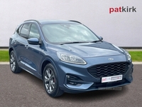 Ford Kuga 1.5 EcoBlue ST-Line Edition 5dr Auto in Tyrone