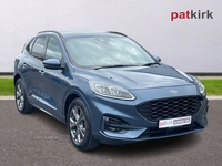 Ford Kuga 1.5 EcoBlue ST-Line Edition 5dr Auto in Tyrone