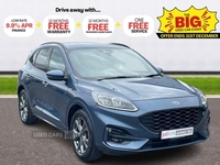 Ford Kuga 1.5 EcoBlue ST-Line Edition 5dr Auto in Tyrone