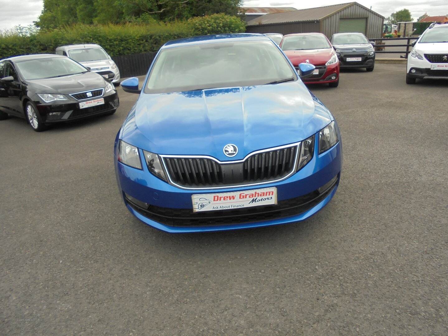 Skoda Octavia DIESEL HATCHBACK in Tyrone