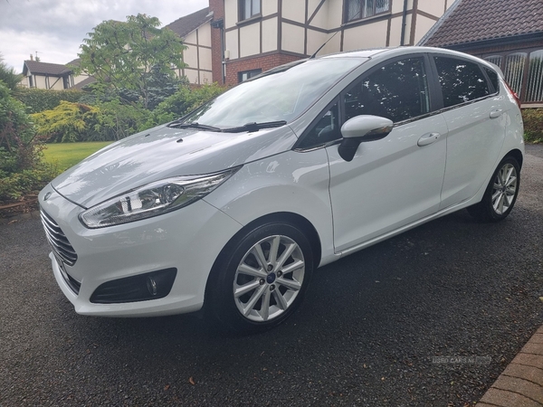 Ford Fiesta 1.0 EcoBoost Titanium 5dr in Armagh