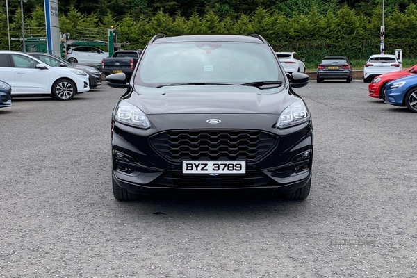 Ford Kuga ST-LINE X EDITION 1.5 AUTO IN BLACK WITH 4K in Armagh