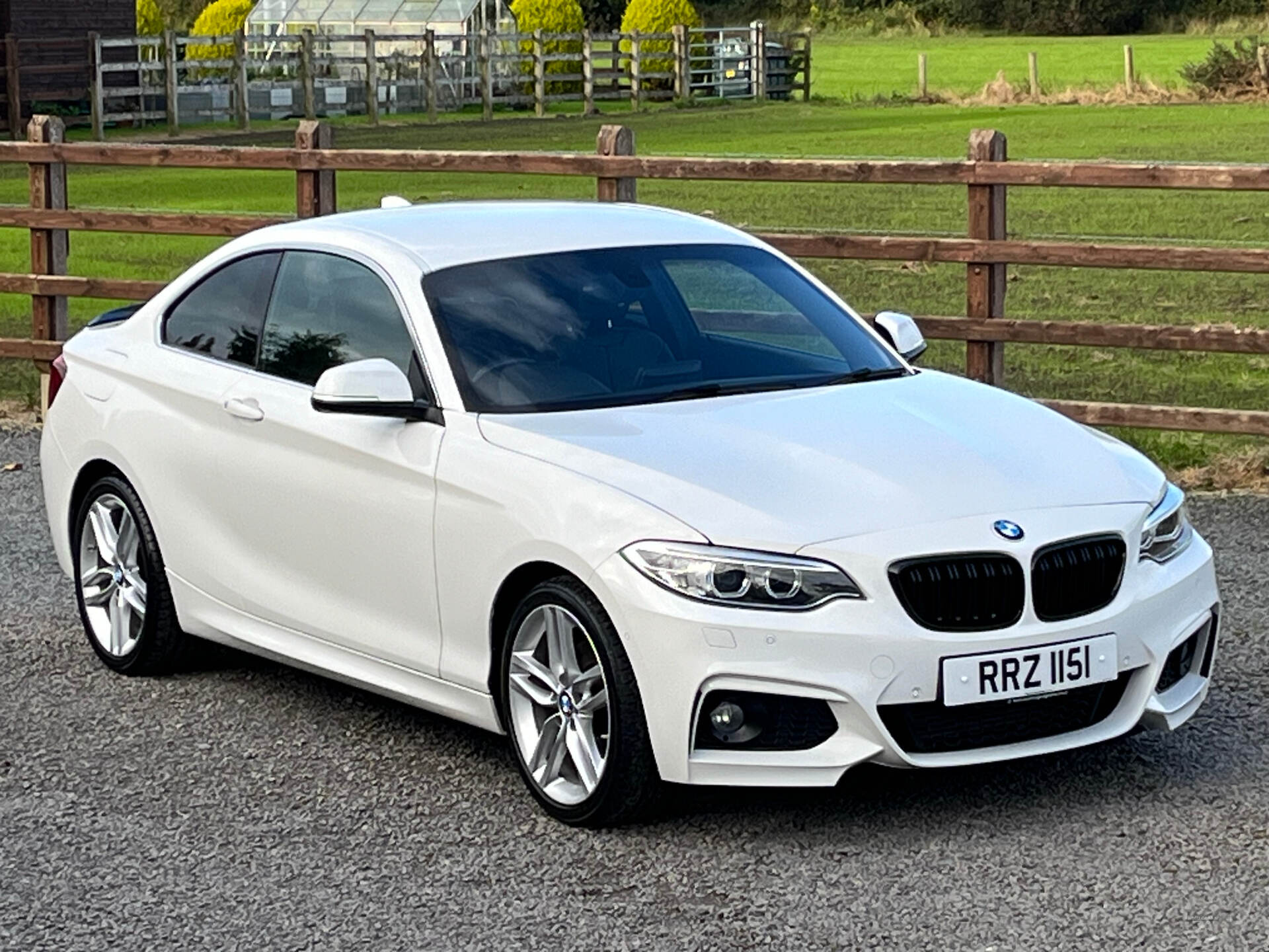 BMW 2 Series DIESEL COUPE in Antrim