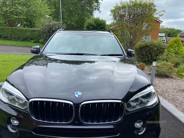 BMW X5 xDrive40d M Sport 5dr Auto in Derry / Londonderry