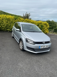 Volkswagen Polo 1.6 TDI SE 5dr in Down