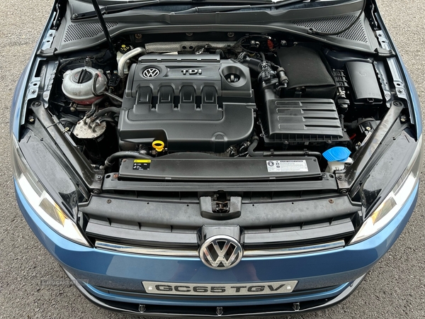 Volkswagen Golf 1.6 TDI 110 S 5dr in Tyrone