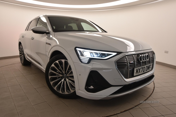 Audi E-Tron 230kW 50 Quattro 71kWh S Line 5dr Auto in Antrim