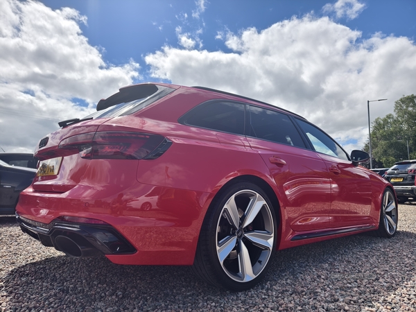 Audi RS4 AVANT SPECIAL EDITION in Fermanagh