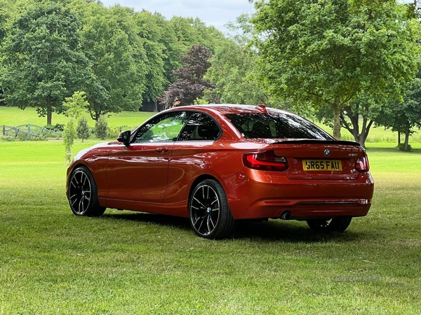 BMW 2 Series COUPE in Armagh