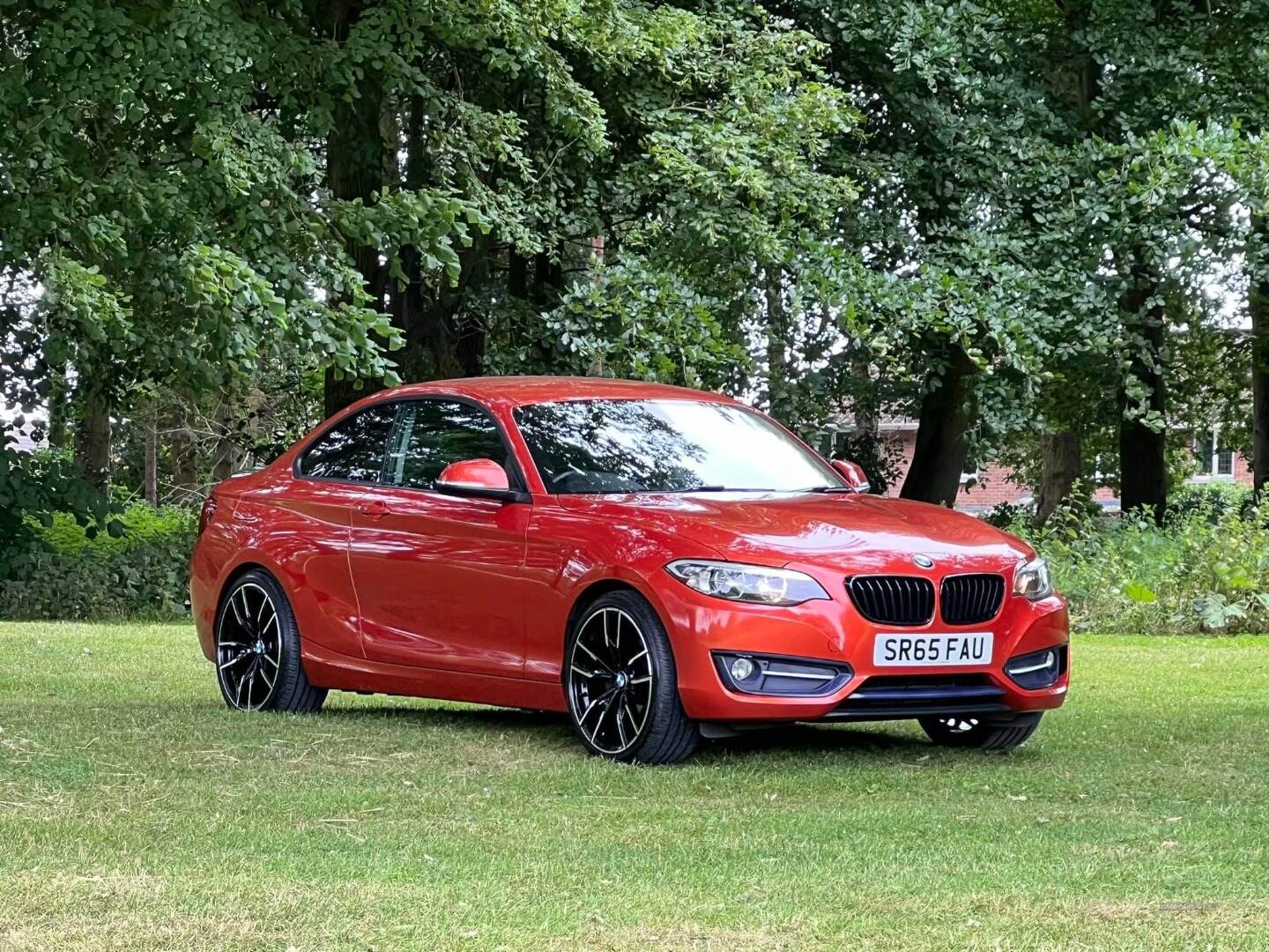 BMW 2 Series COUPE in Armagh