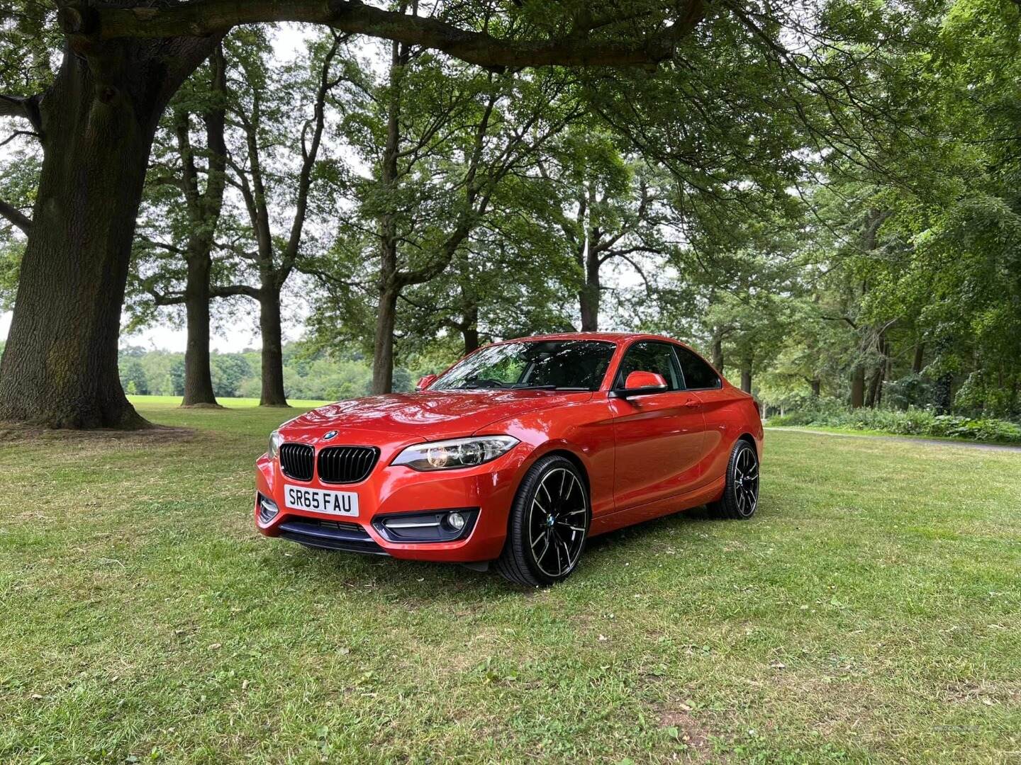 BMW 2 Series COUPE in Armagh