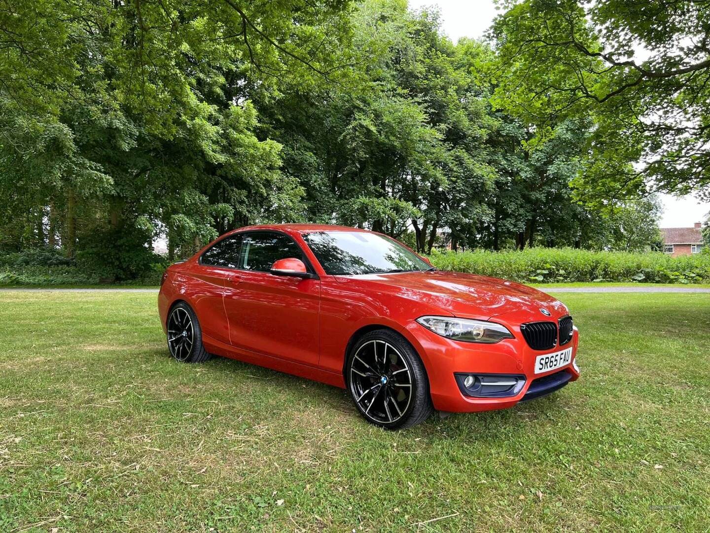 BMW 2 Series COUPE in Armagh