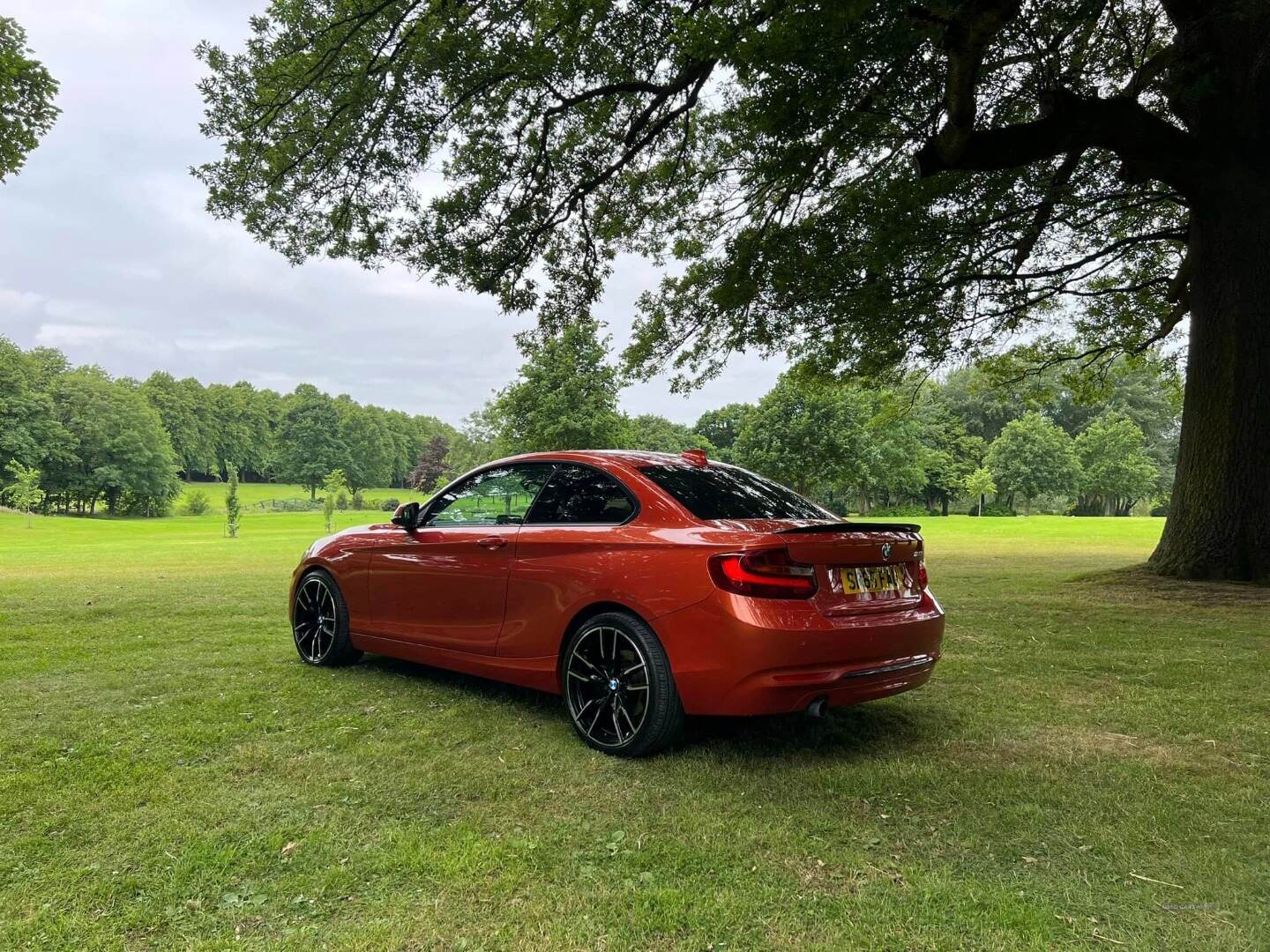 BMW 2 Series COUPE in Armagh