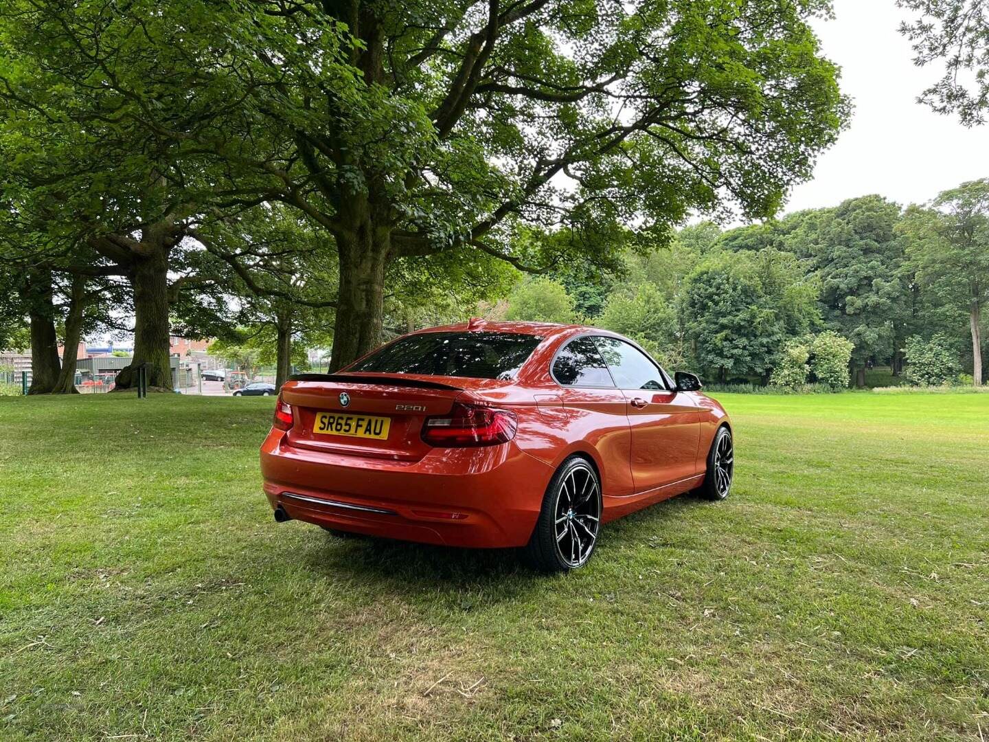 BMW 2 Series COUPE in Armagh