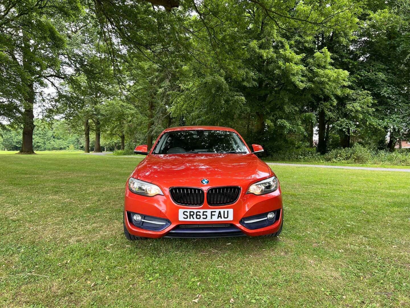 BMW 2 Series COUPE in Armagh