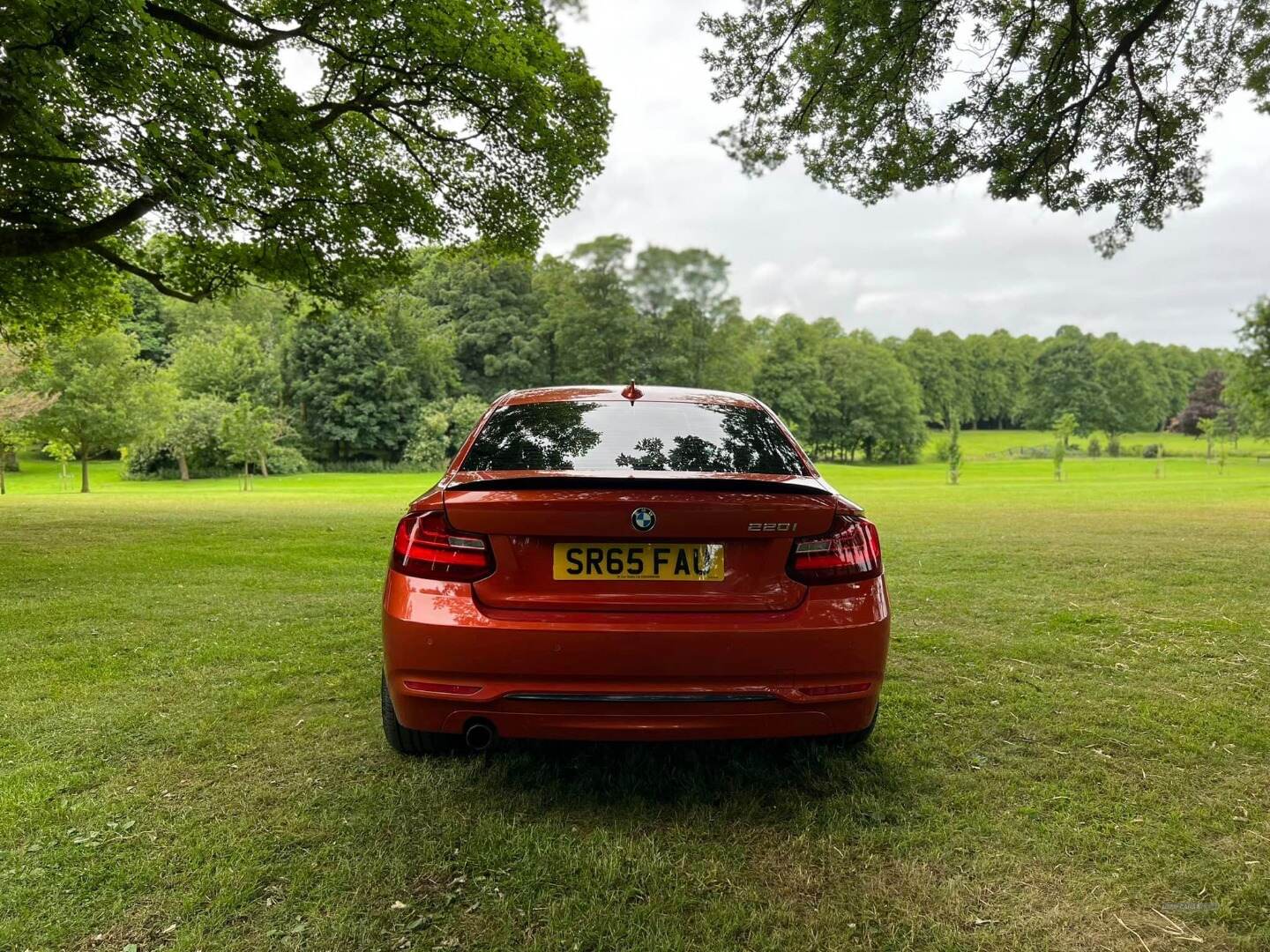 BMW 2 Series COUPE in Armagh