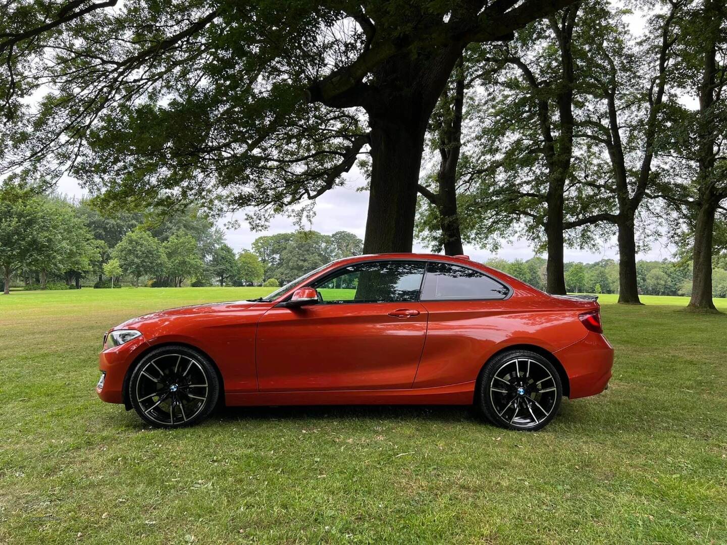 BMW 2 Series COUPE in Armagh